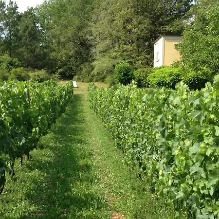 Holiday home Wijndomein Lalande La Tour